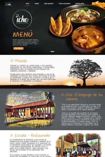 iche pag1-min Sitio web ICHE - imagen 2